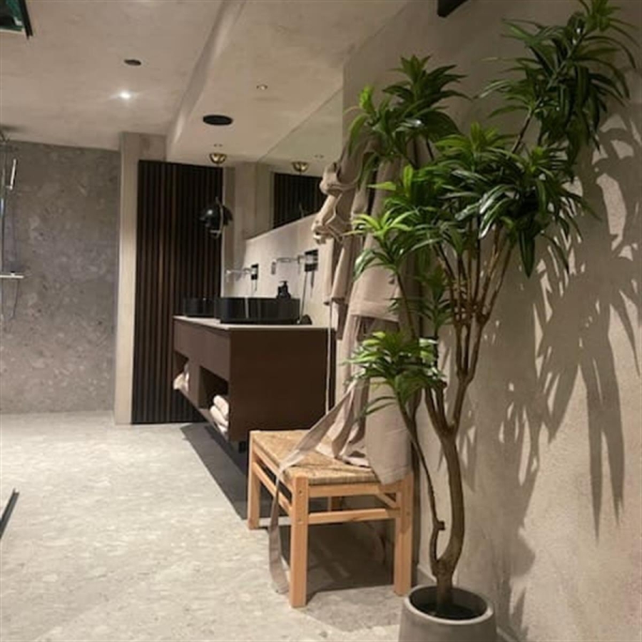 Förvandla din källare till en oas