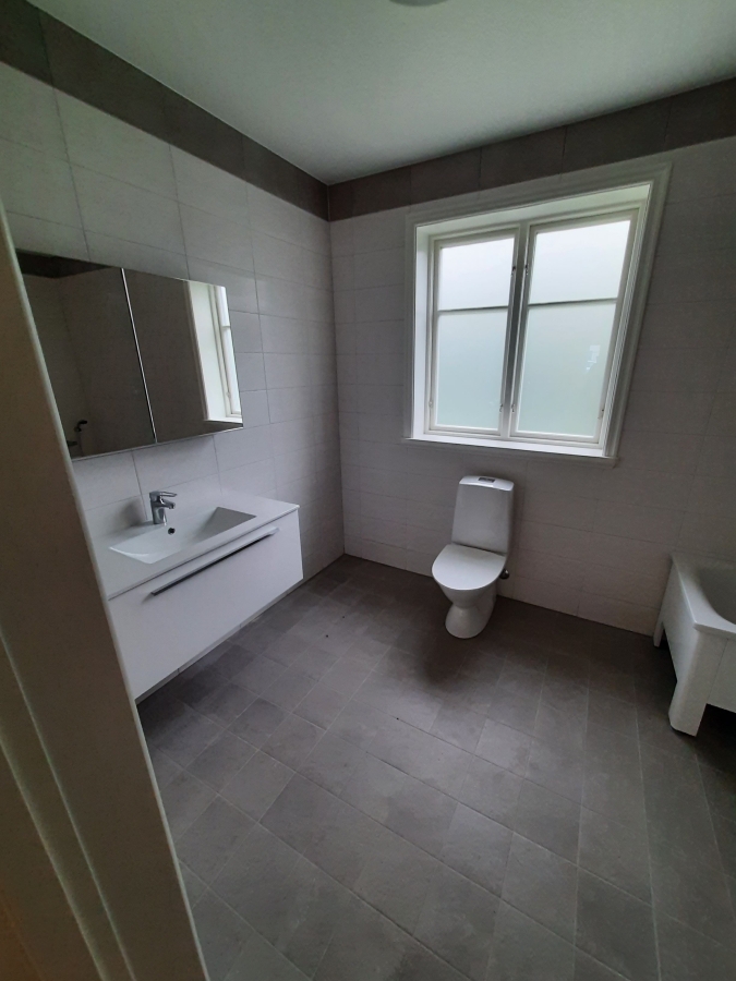 Nyproduktion av lösvirkeshus - Färdigställande